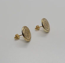 Load image into Gallery viewer, Shae Stone Coin Studs